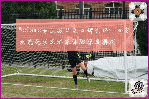 WeGame专业版年度口碑测评：全新功能亮点及玩家体验深度解析
